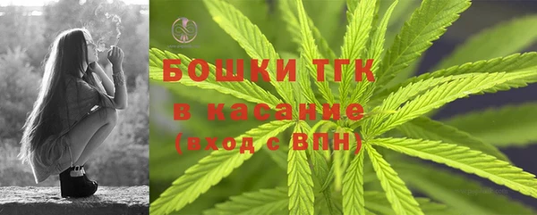 ECSTASY Вяземский